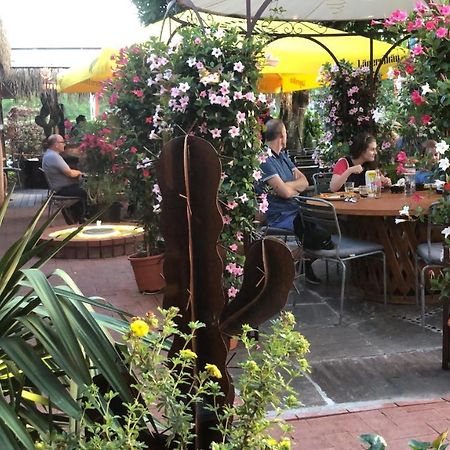 Zys Hotel Wettingen Bagian luar foto