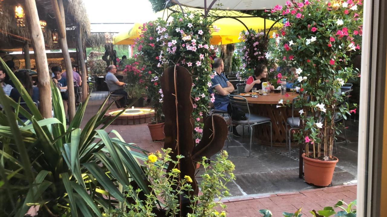 Zys Hotel Wettingen Bagian luar foto